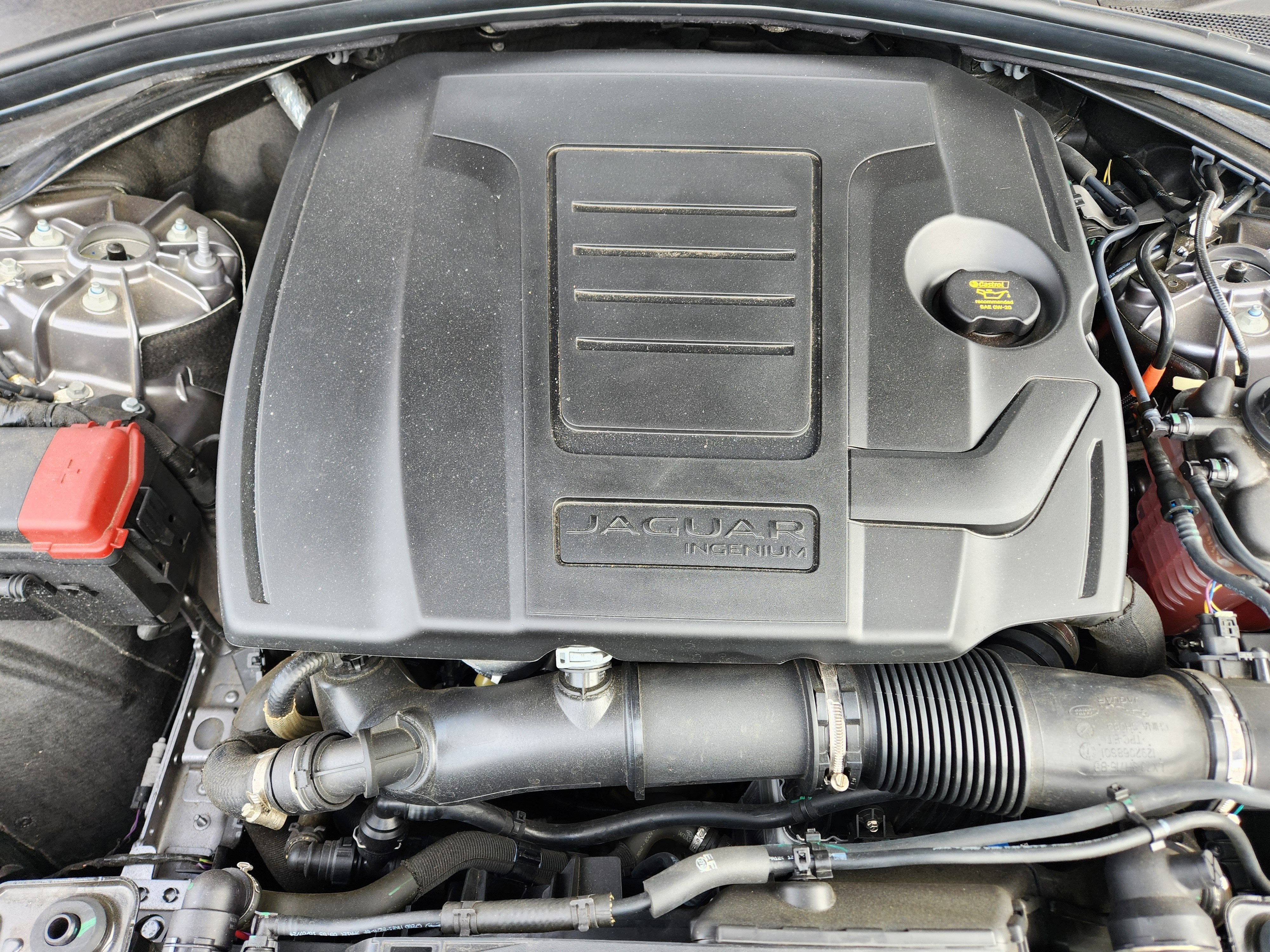 2026 Jaguar F-PACE P250 R-Dynamic S