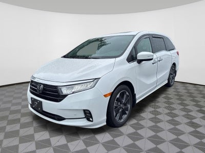 2024 Honda Odyssey Elite