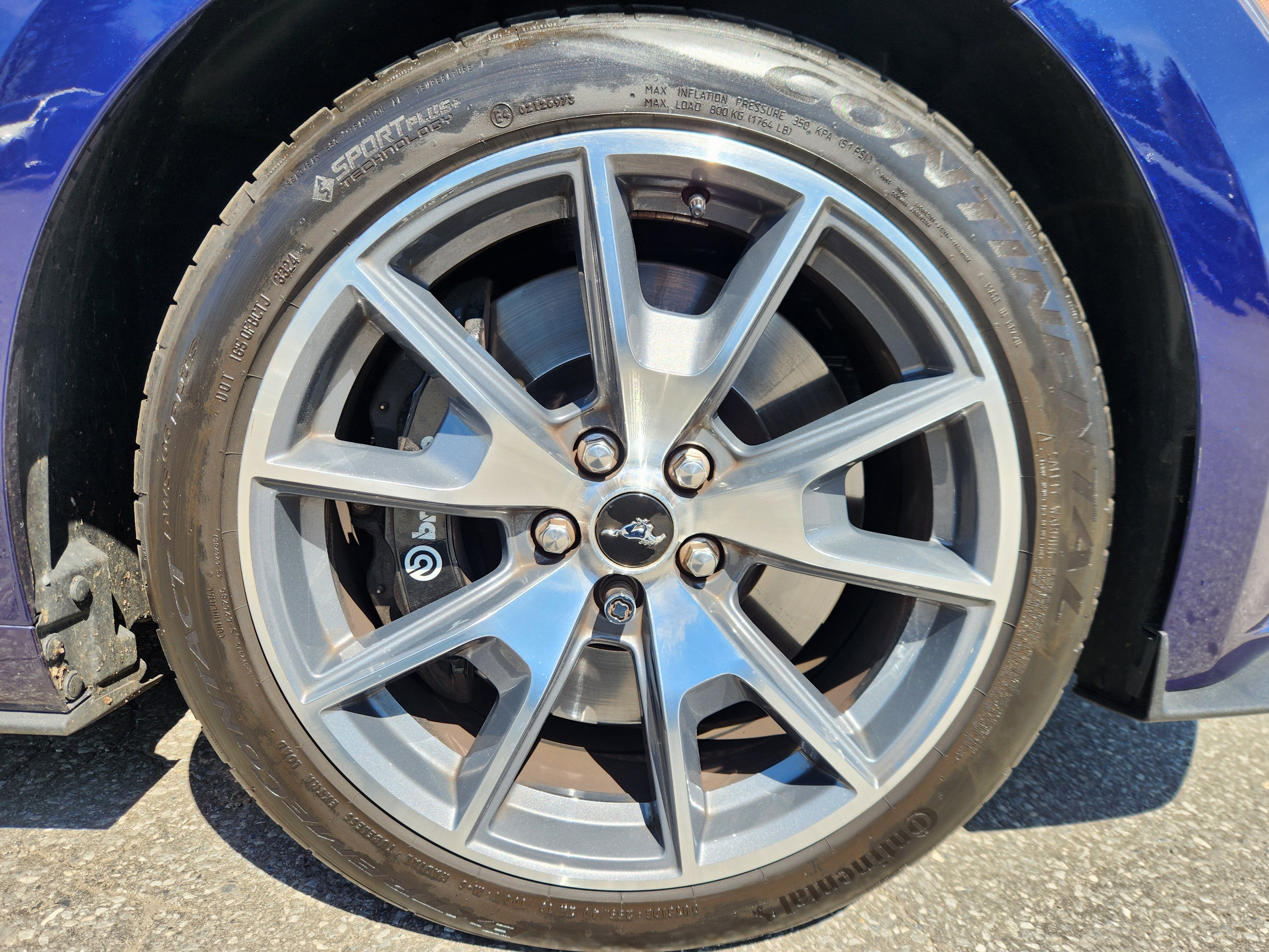 2015 Ford Mustang GT 50 Years Limited Edition