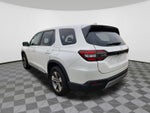 2024 Honda Pilot EX-L 7 Passenger